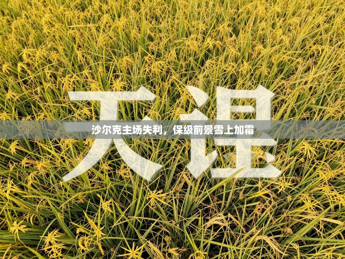 沙尔克主场失利，保级前景雪上加霜  第2张